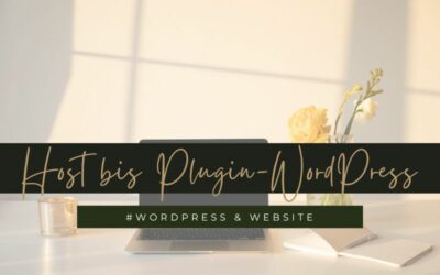 Host bis Plugin –  der Komplettüberblick über WordPress-Webseiten