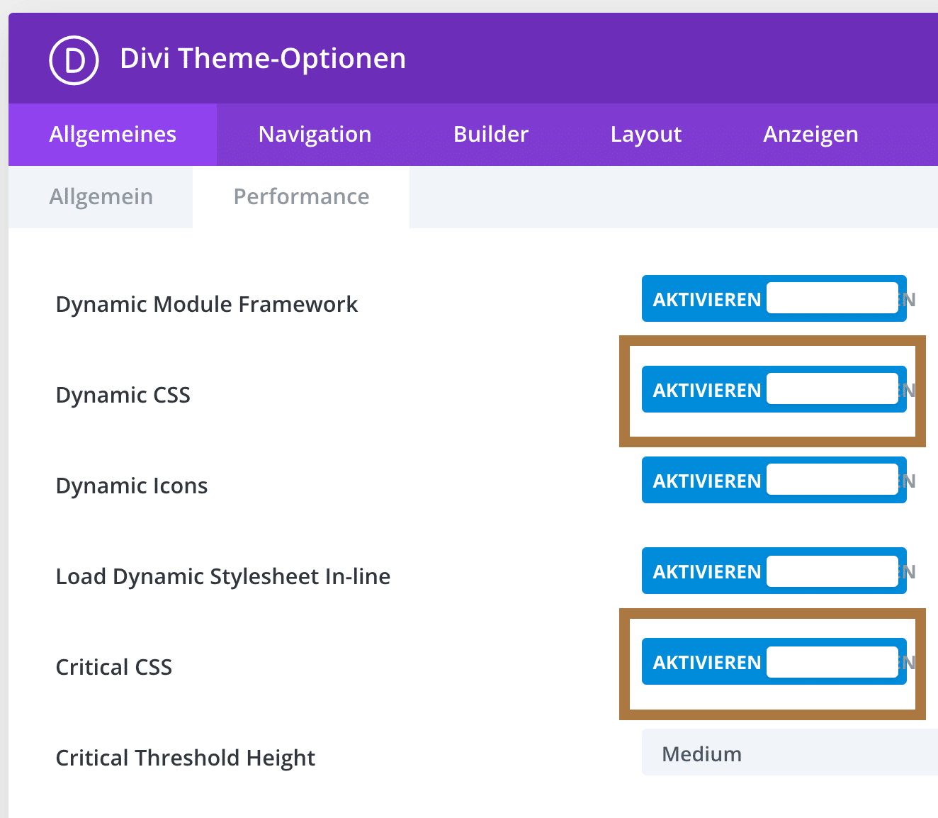 DIVI Performance Optionen